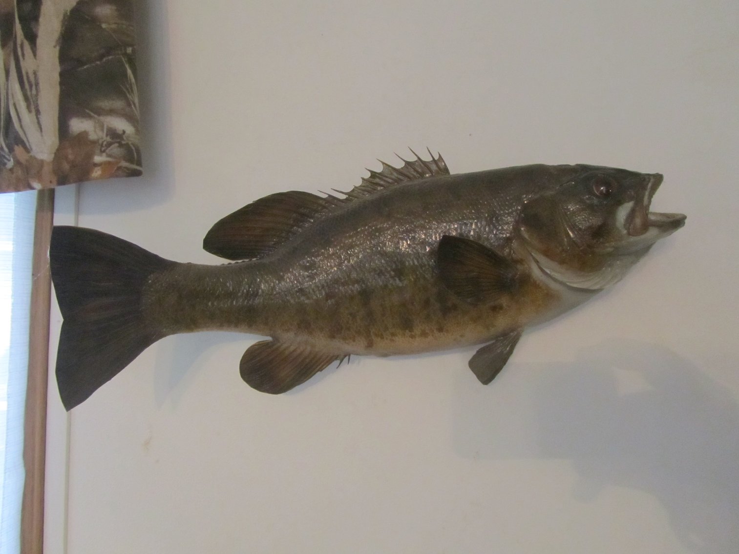 Bob Kimball Moving Auction, Pequot Lakes, MN (145767)