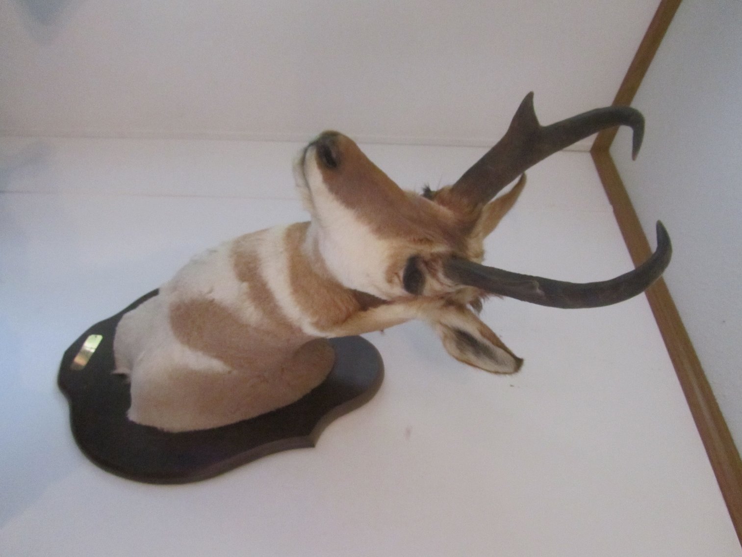 Bob Kimball Moving Auction, Pequot Lakes, MN (145767)