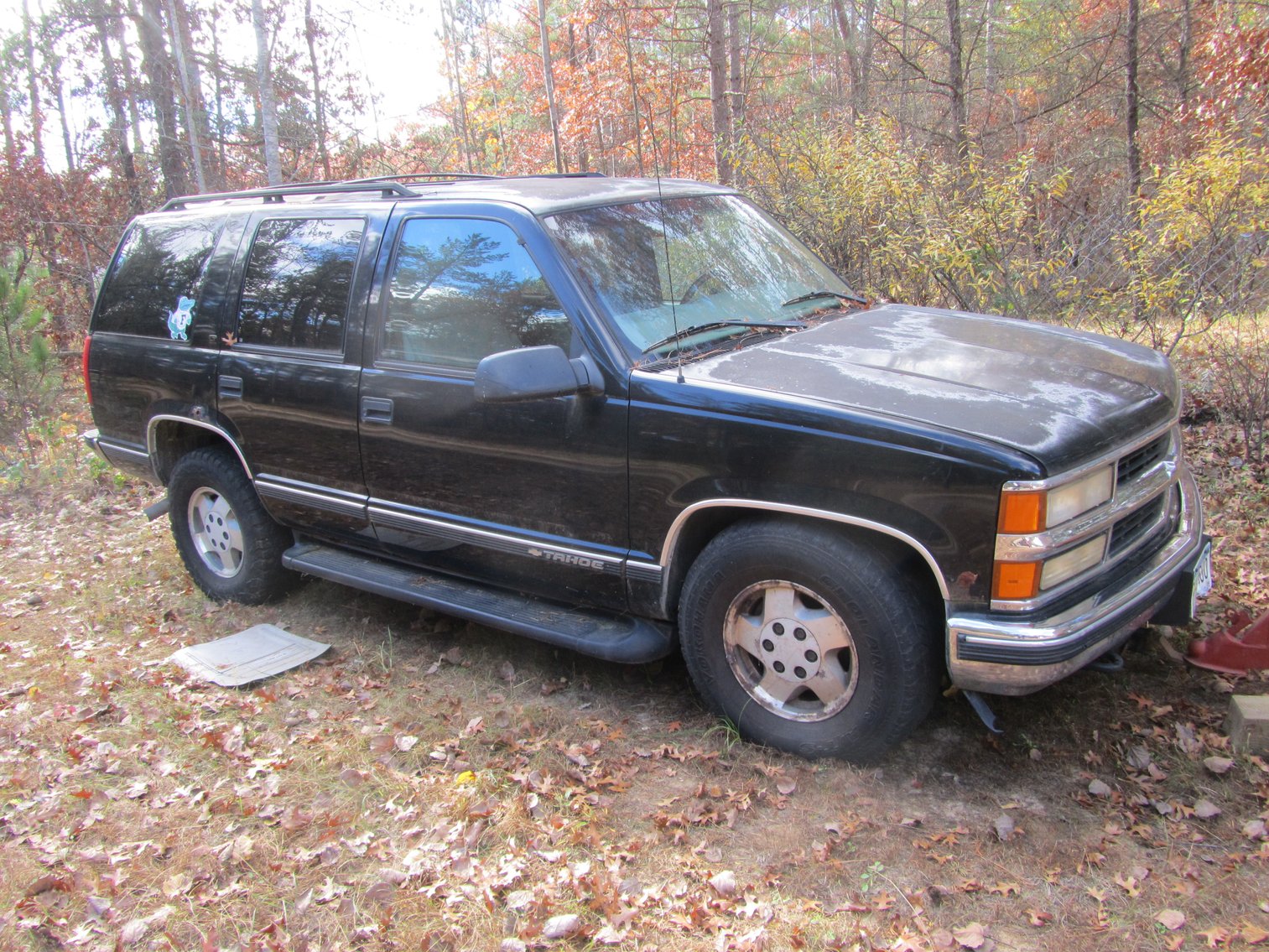 Estate Auction, Brainerd, MN (150873)