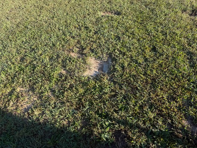 Image for Lot @ 0 Doris Dr. Harvest AL 35749