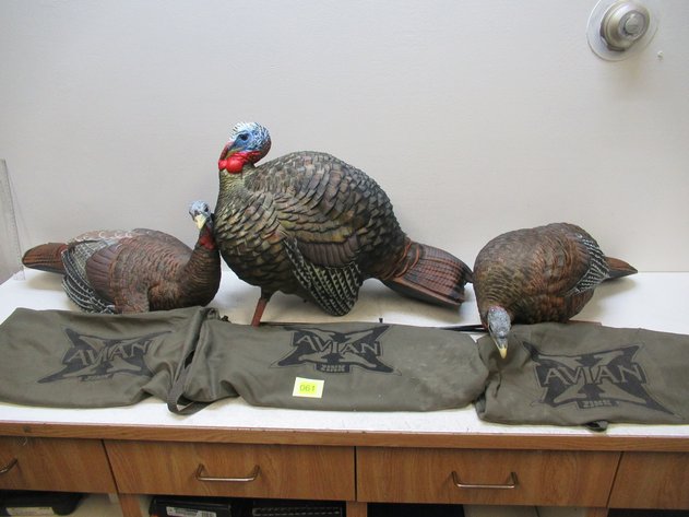 Image for Three Avian X Turkey Decoys