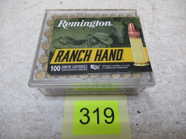 Image for 22LR Ammo