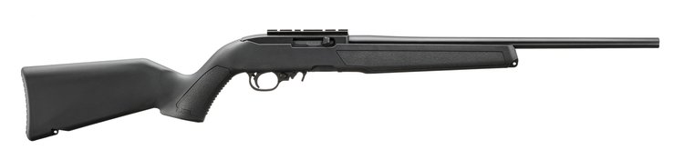 Image for Ruger 10/22 Carbine