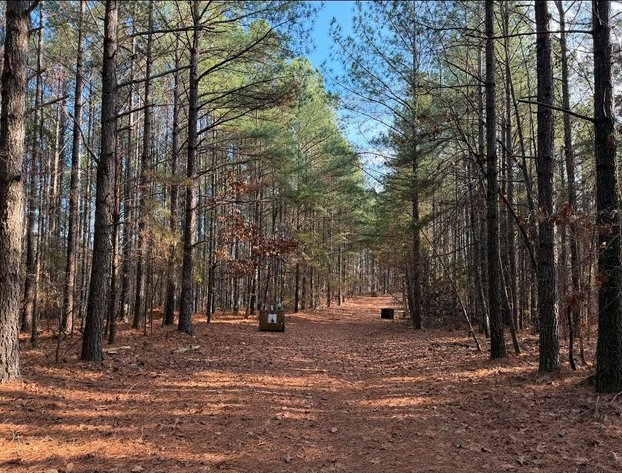 Image for ONLINE AUCTION!  200 Acres+/- Prime Hunting Land ~ Timberland ~ Cabin ~ Green Fields