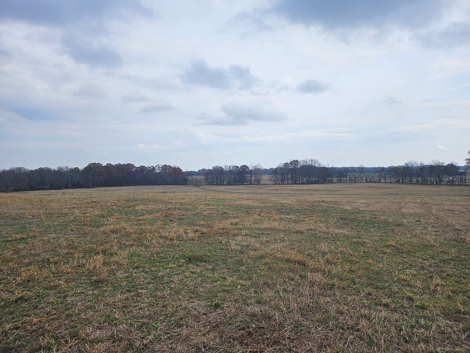 Image for SOLD!!!  ONLINE LAND AUCTION!  74.96 Acres+/- fenced with creek near 