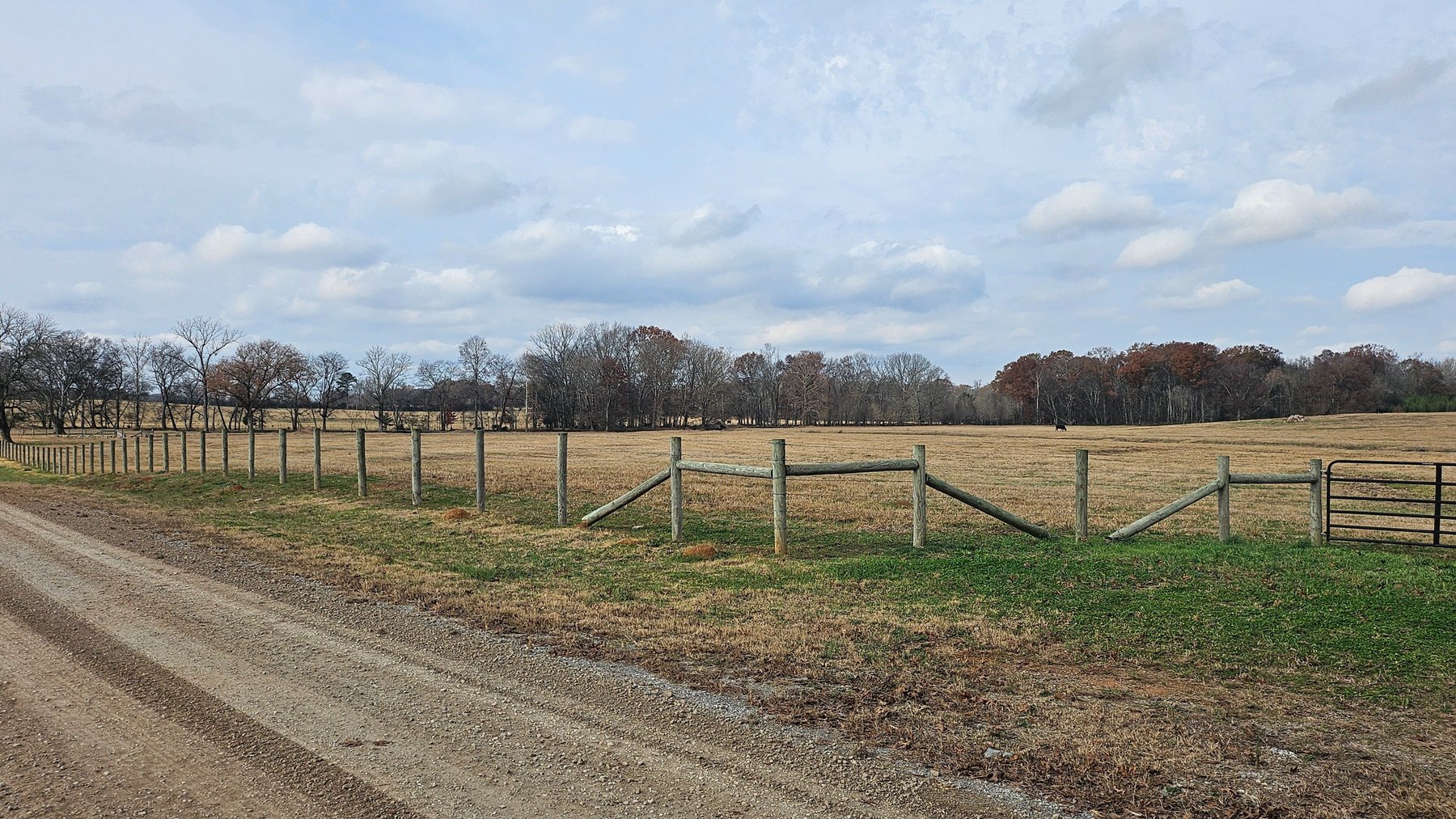 Image for SOLD!!!  ONLINE LAND AUCTION!  74.96 Acres+/- fenced with creek near 