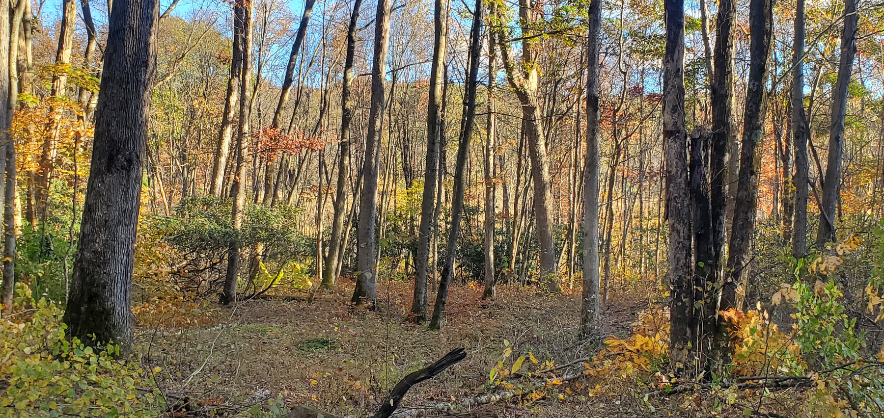 Image for PENDING SALE! Preston County Acreage! 1.25 Acres BIG SANDY! Beautiful land off of Salem Road! Bidding Begins Closing on December 11th, 2025, at 6:00 p.m.