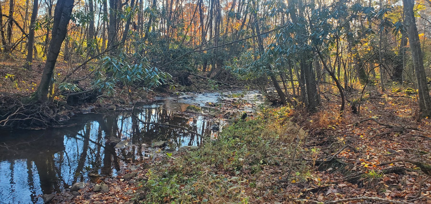 Image for PENDING SALE! Preston County Acreage! 1.25 Acres BIG SANDY! Beautiful land off of Salem Road! Bidding Begins Closing on December 11th, 2025, at 6:00 p.m.