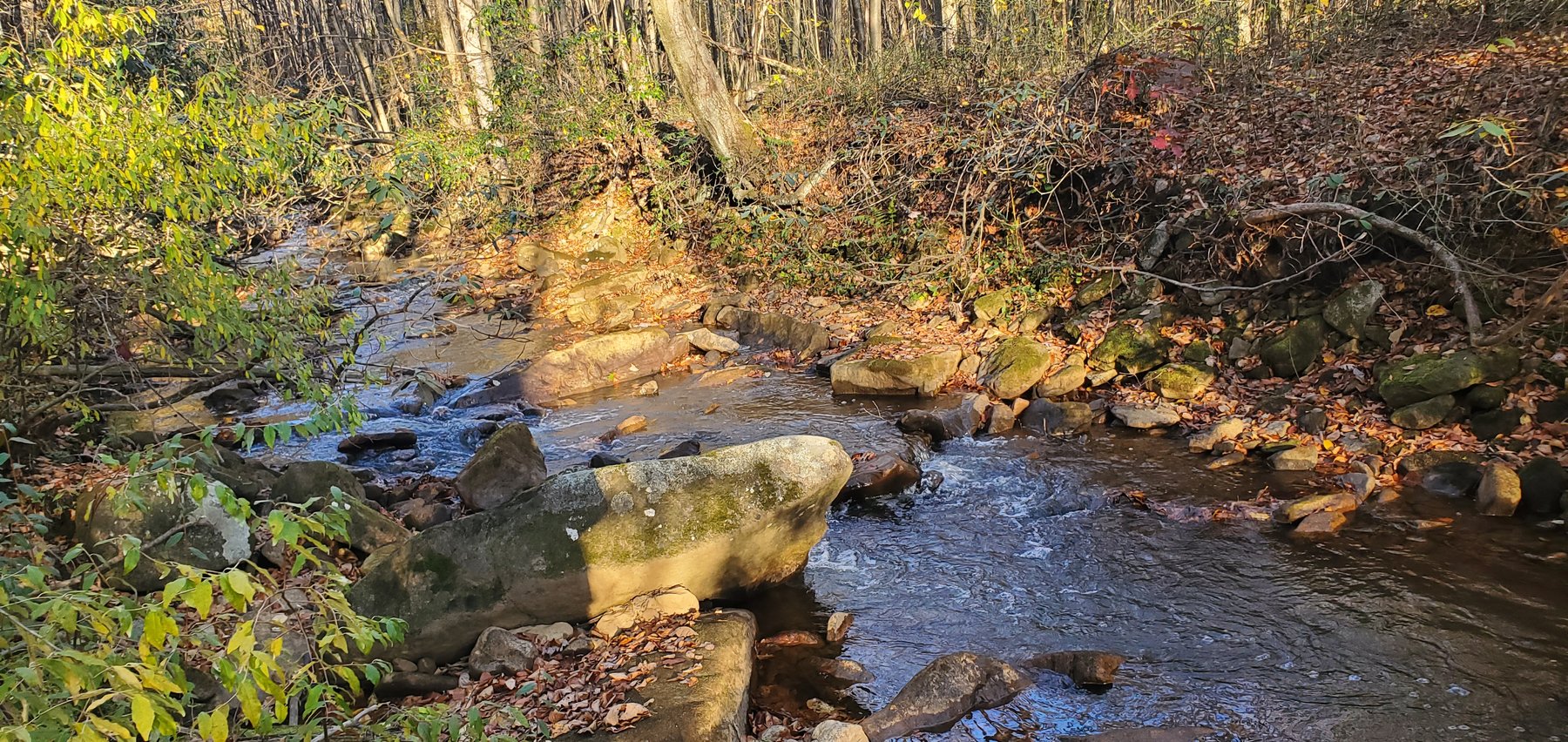 Image for PENDING SALE! Preston County Acreage! 1.25 Acres BIG SANDY! Beautiful land off of Salem Road! Bidding Begins Closing on December 11th, 2025, at 6:00 p.m.