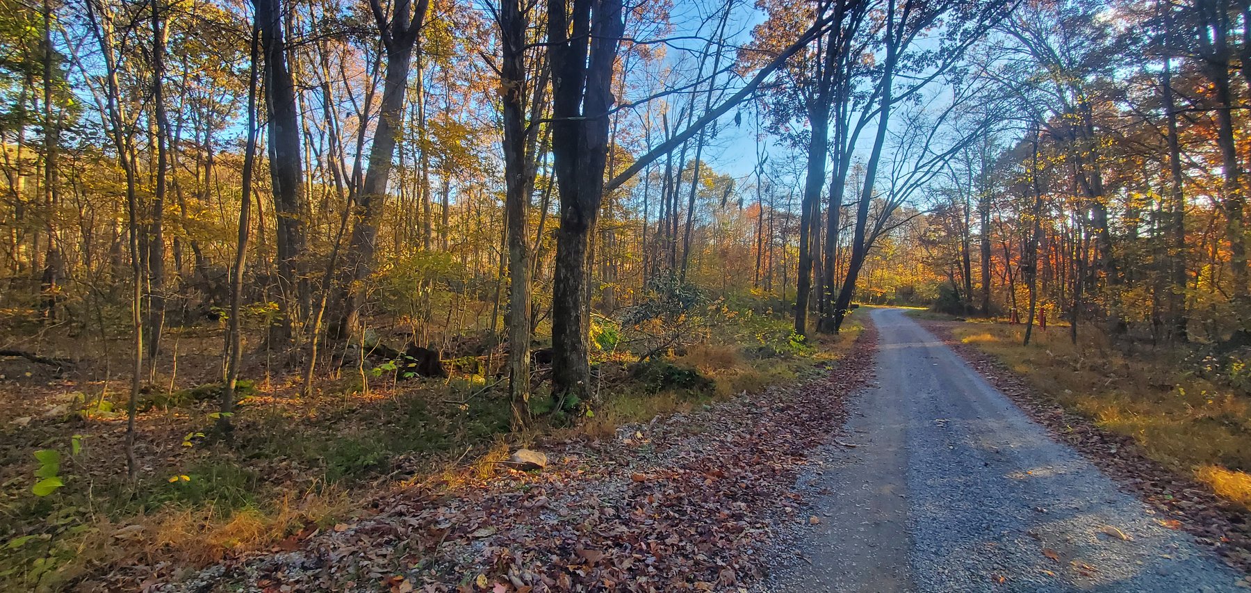 Image for PENDING SALE! Preston County Acreage! 1.25 Acres BIG SANDY! Beautiful land off of Salem Road! Bidding Begins Closing on December 11th, 2025, at 6:00 p.m.