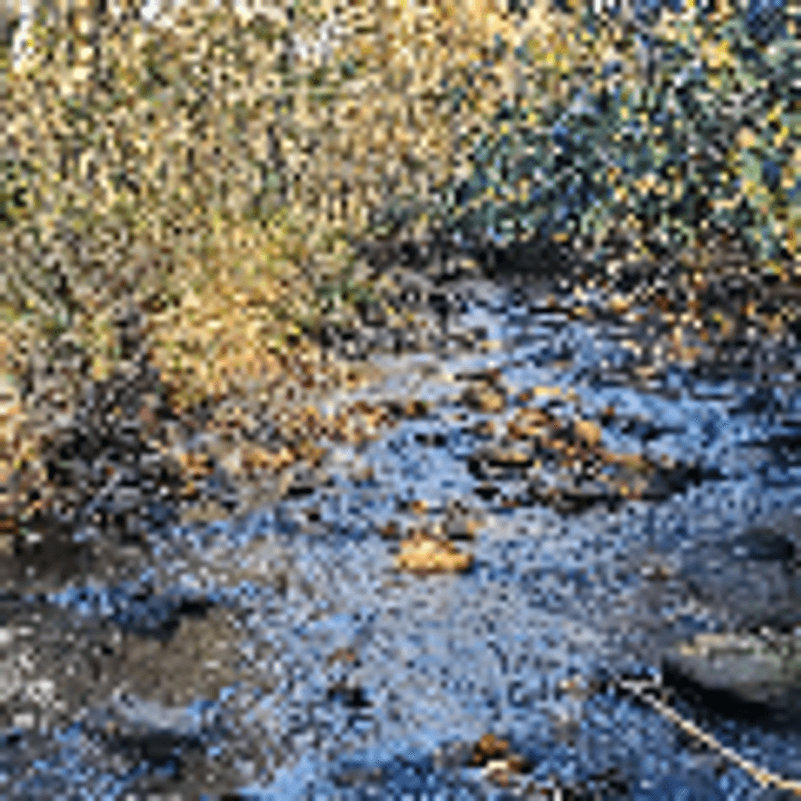 Image for PENDING SALE! Preston County Acreage! 1.25 Acres BIG SANDY! Beautiful land off of Salem Road! Bidding Begins Closing on December 11th, 2025, at 6:00 p.m.