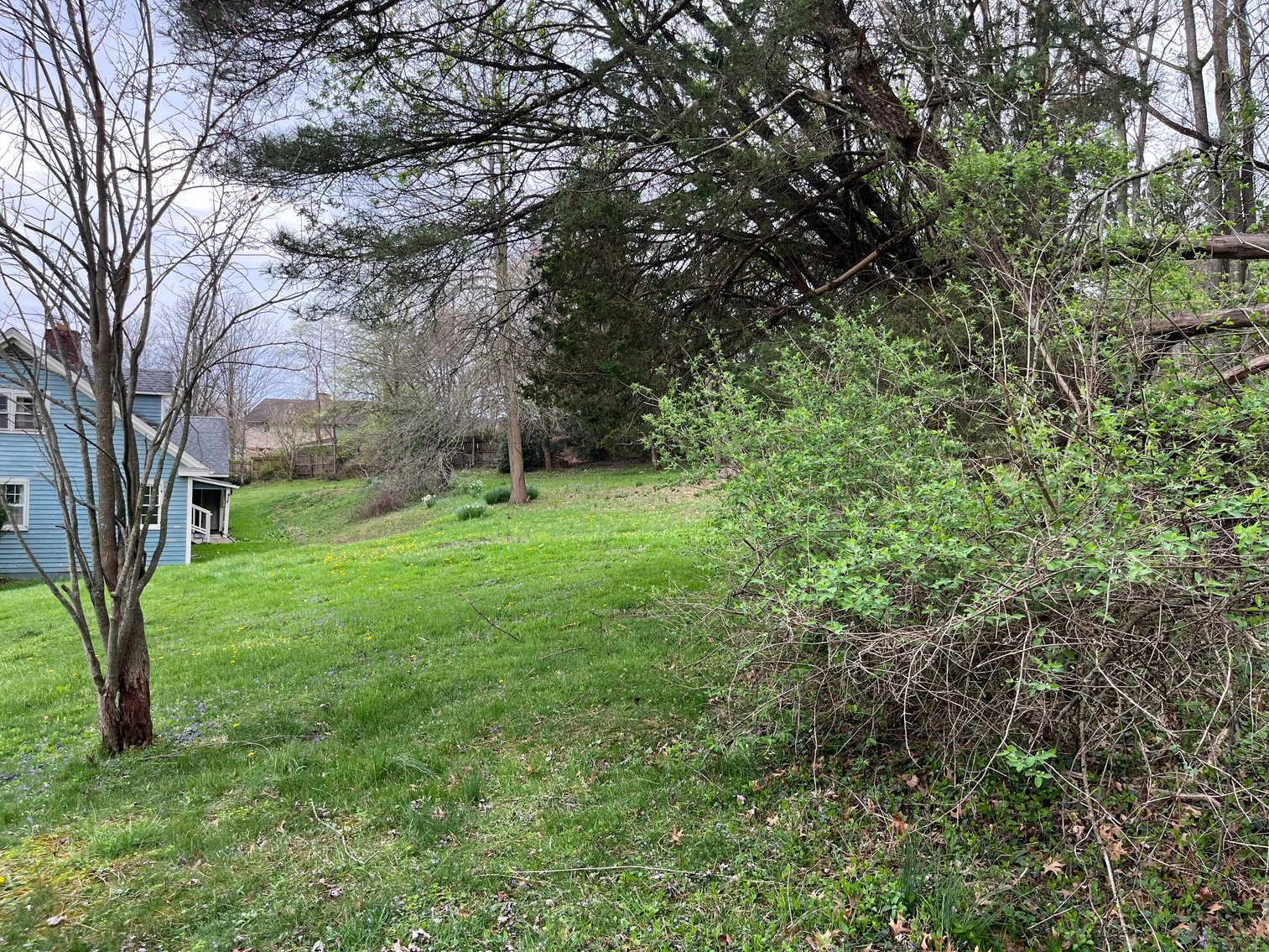 Image for 1.0294 +/- Acre Tract Close to WVU Medicine! Premier Homesite or Subdivision Opportunity. Bidding Begins Closing May 14th, at 6:00 p.m.