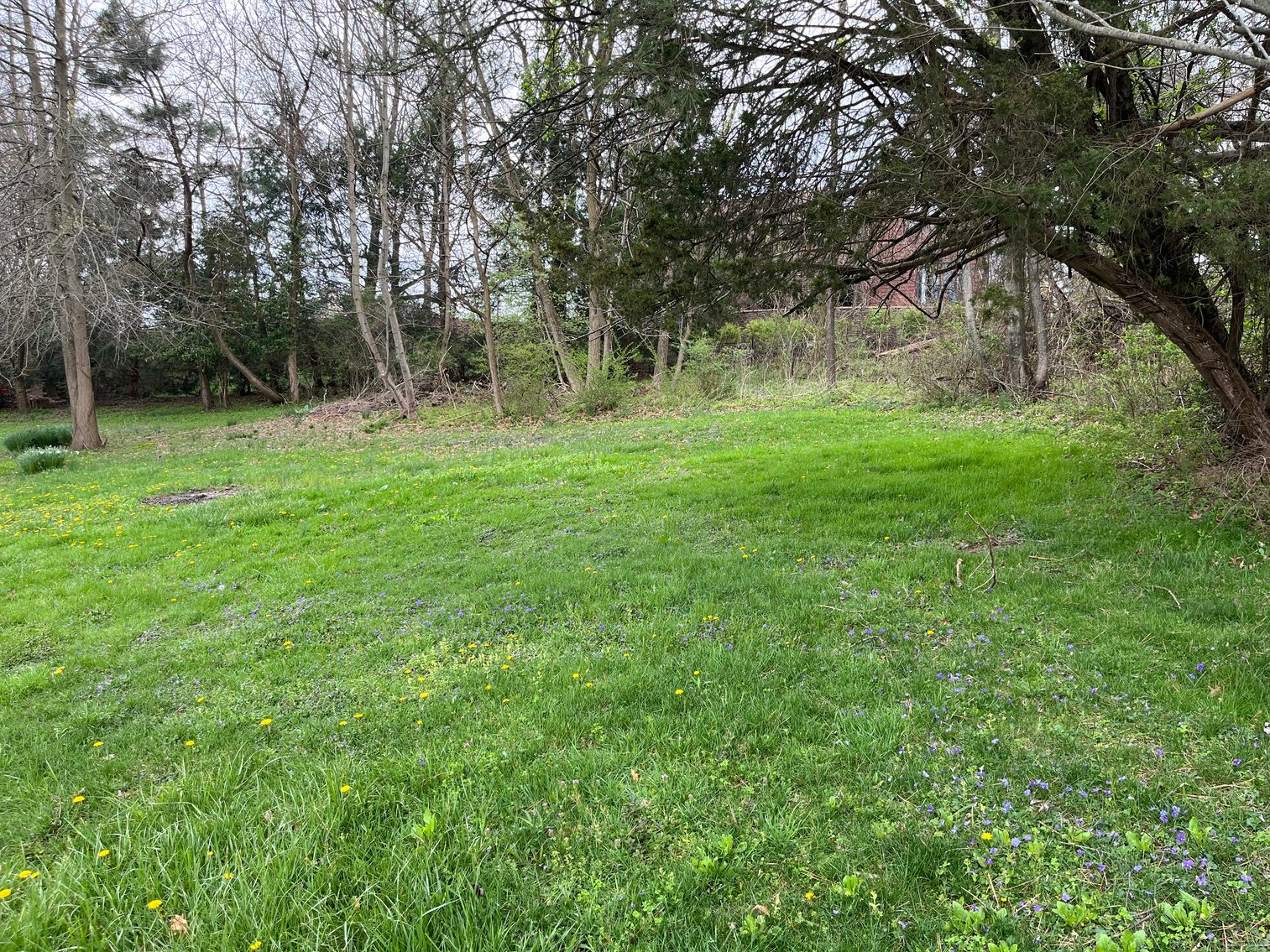 Image for 1.0294 +/- Acre Tract Close to WVU Medicine! Premier Homesite or Subdivision Opportunity. Bidding Begins Closing May 14th, at 6:00 p.m.