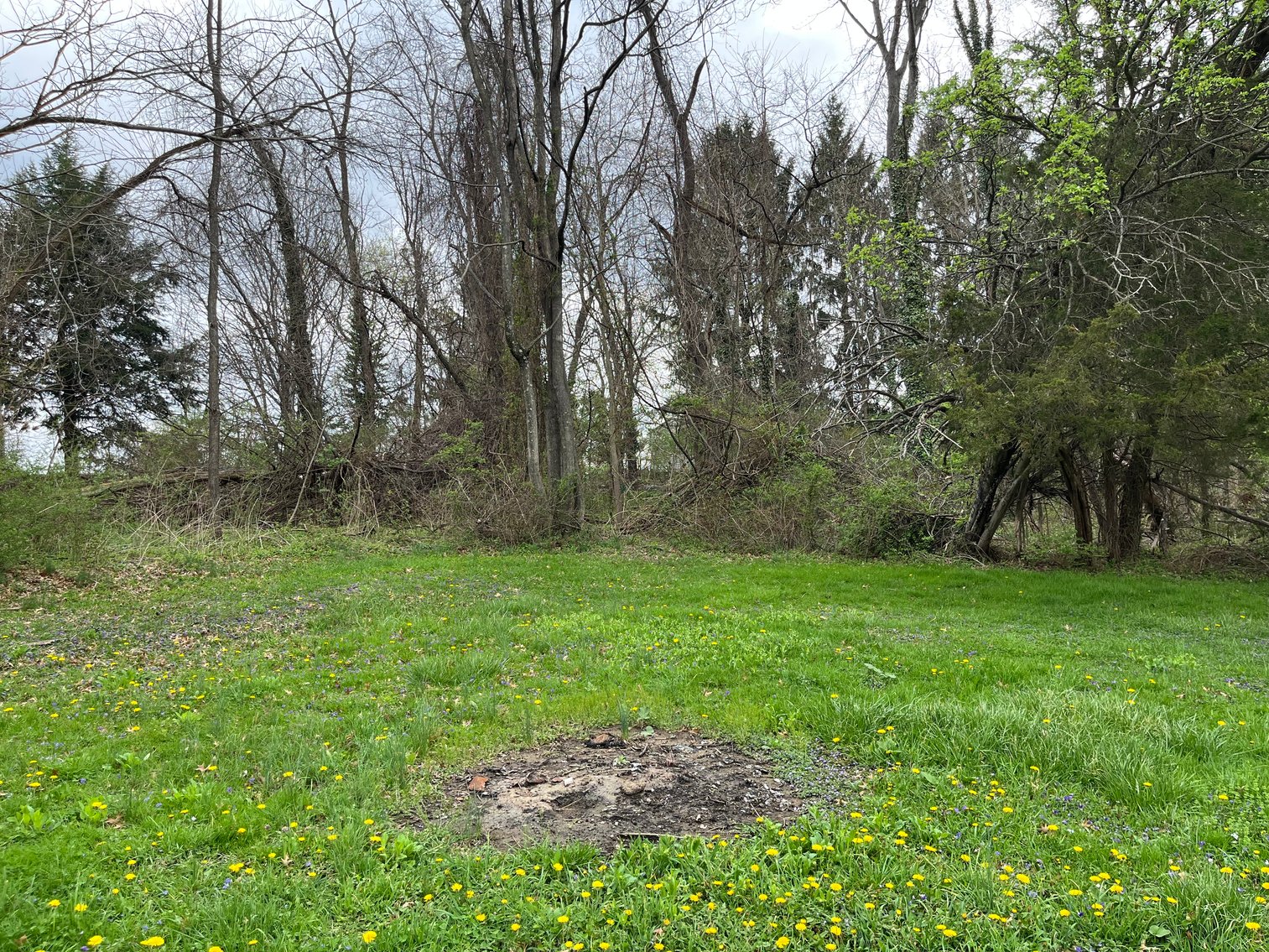 Image for 1.0294 +/- Acre Tract Close to WVU Medicine! Premier Homesite or Subdivision Opportunity. Bidding Begins Closing May 14th, at 6:00 p.m.
