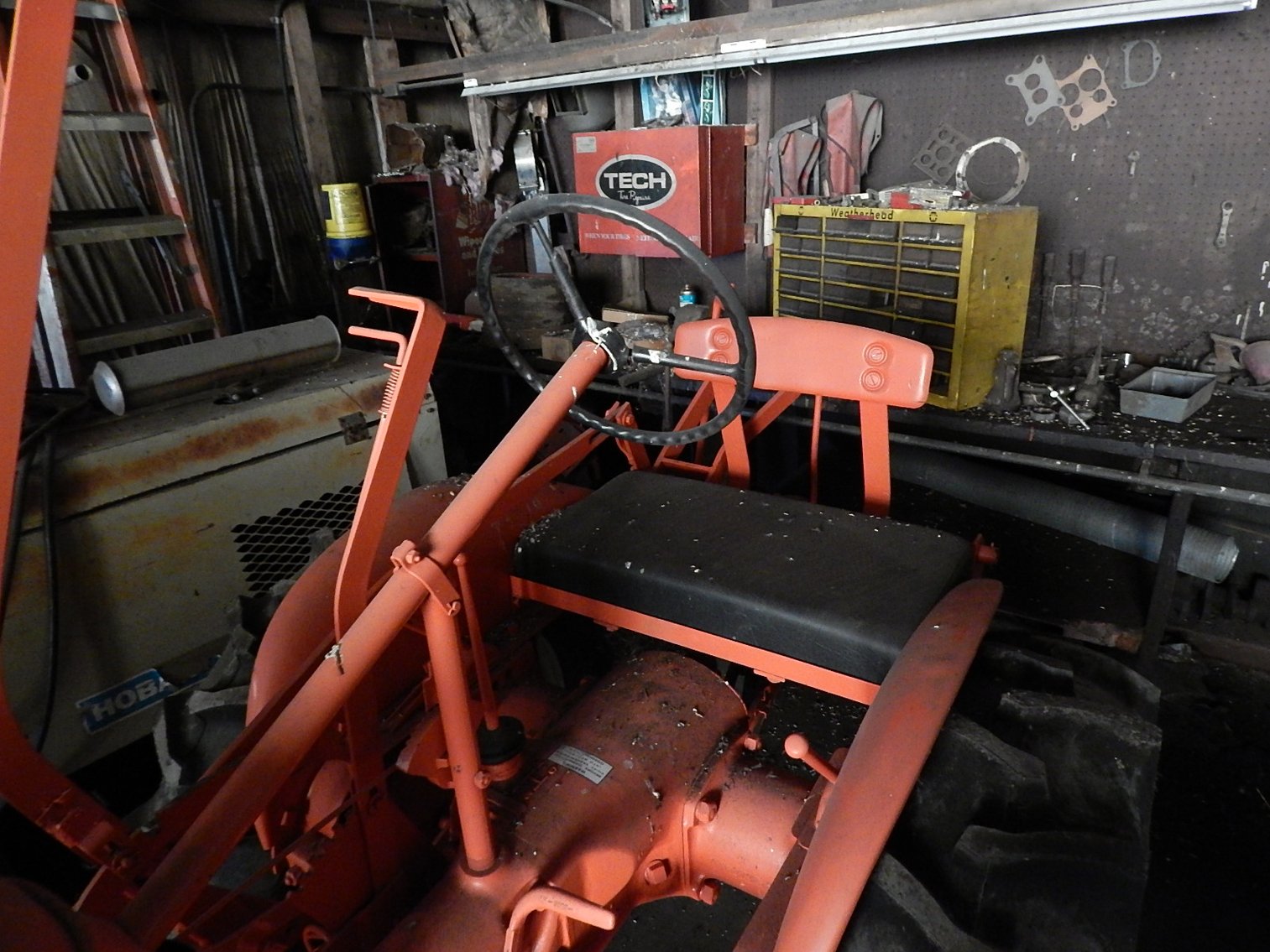 Image for DELETE:  STEVE SCHAID