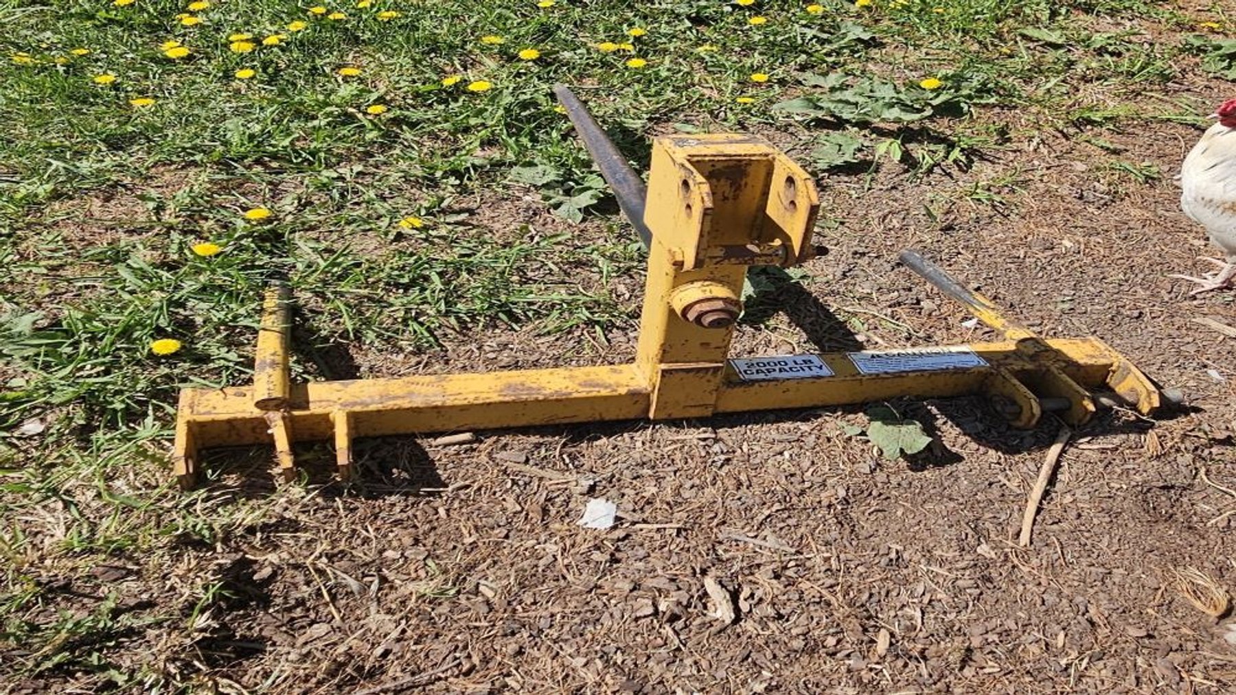 Image for BRAD STROBEL