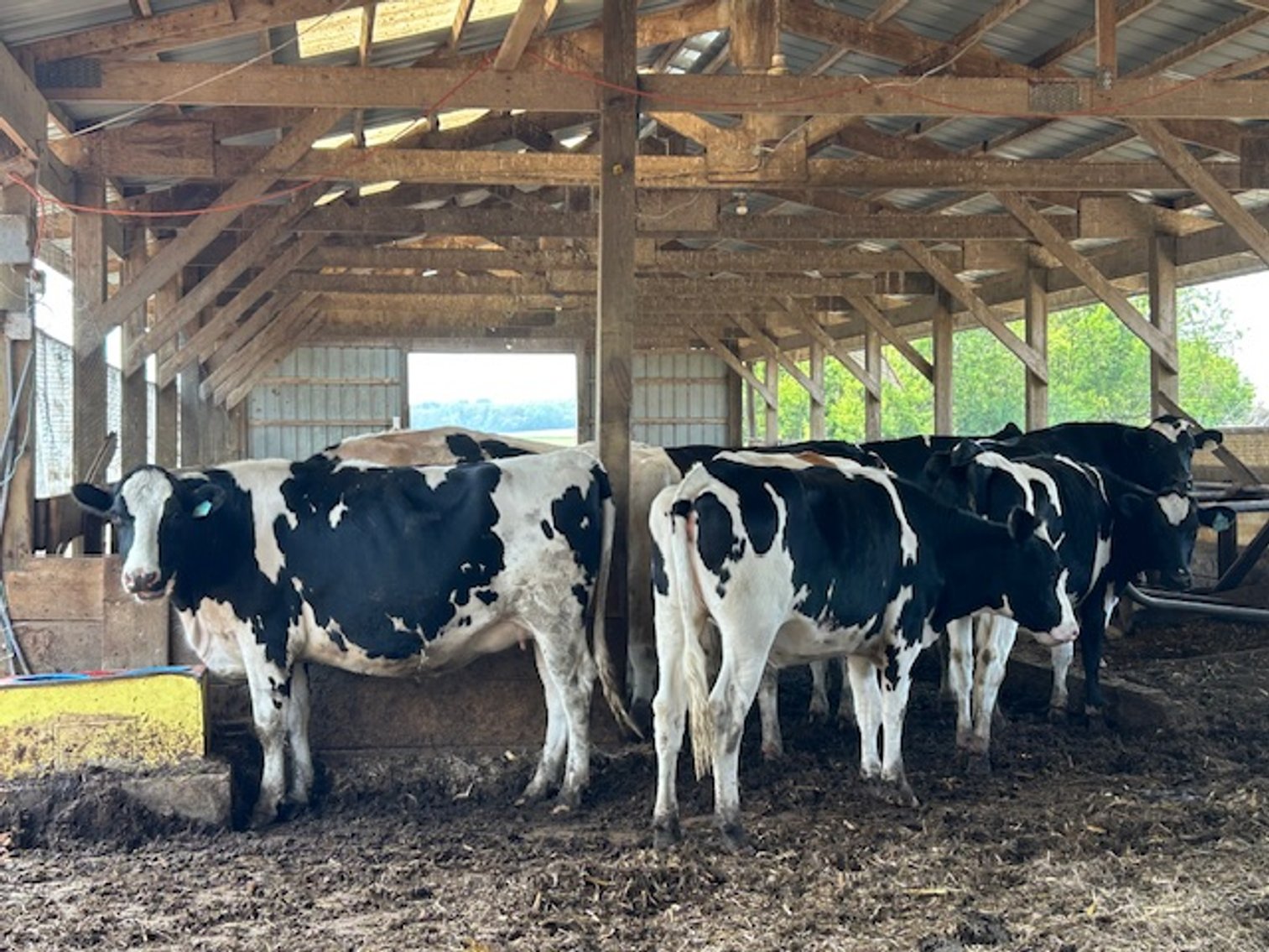 Image for DELETE:  A & D OLSON FARMS - AL & JANE OLSON