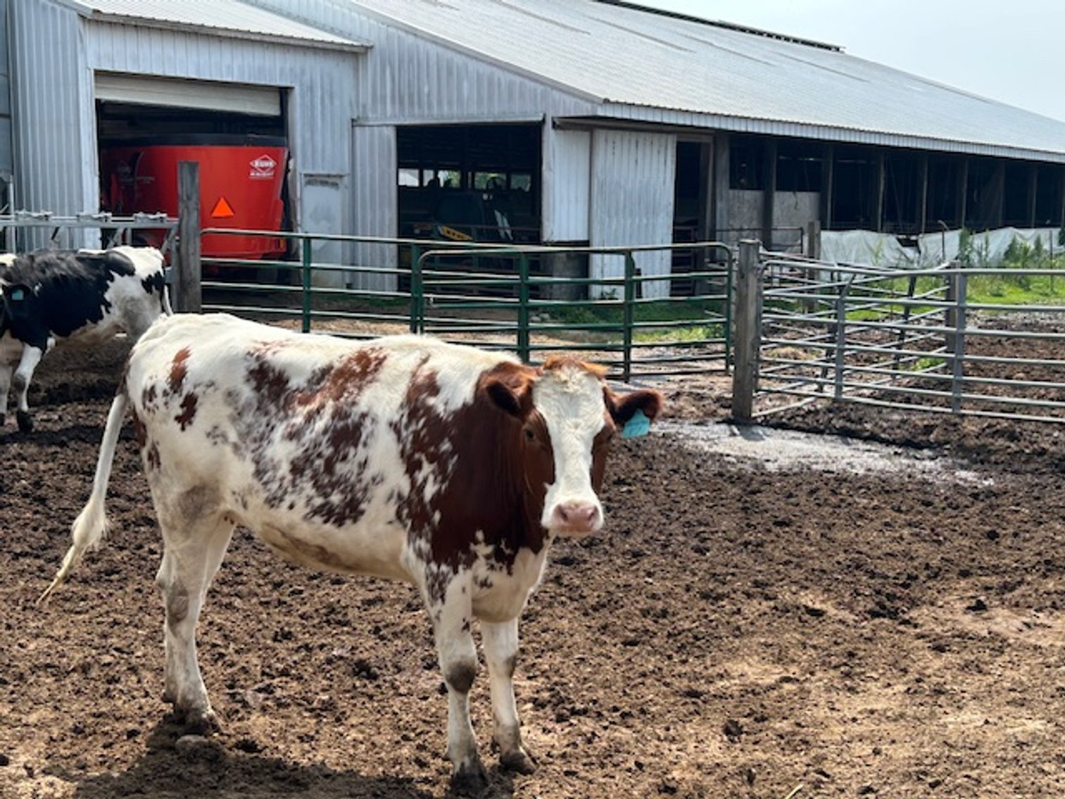 Image for DELETE:  A & D OLSON FARMS - AL & JANE OLSON