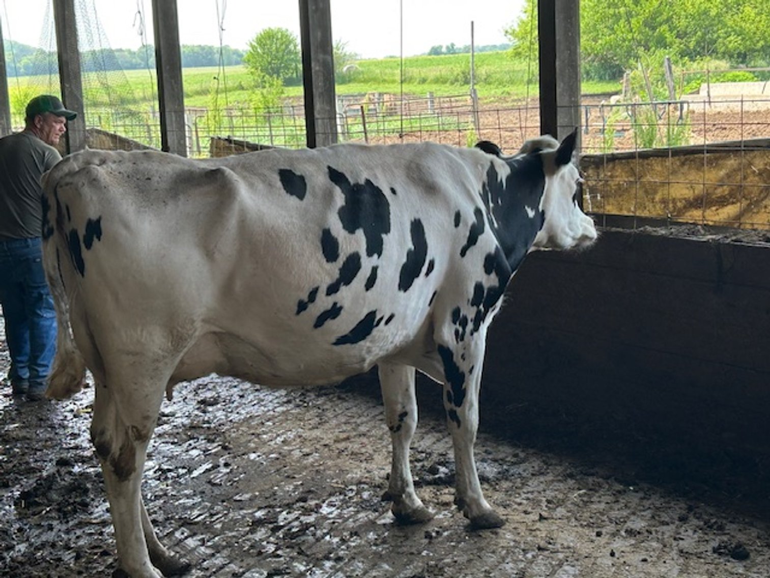 Image for DELETE:  A & D OLSON FARMS - AL & JANE OLSON