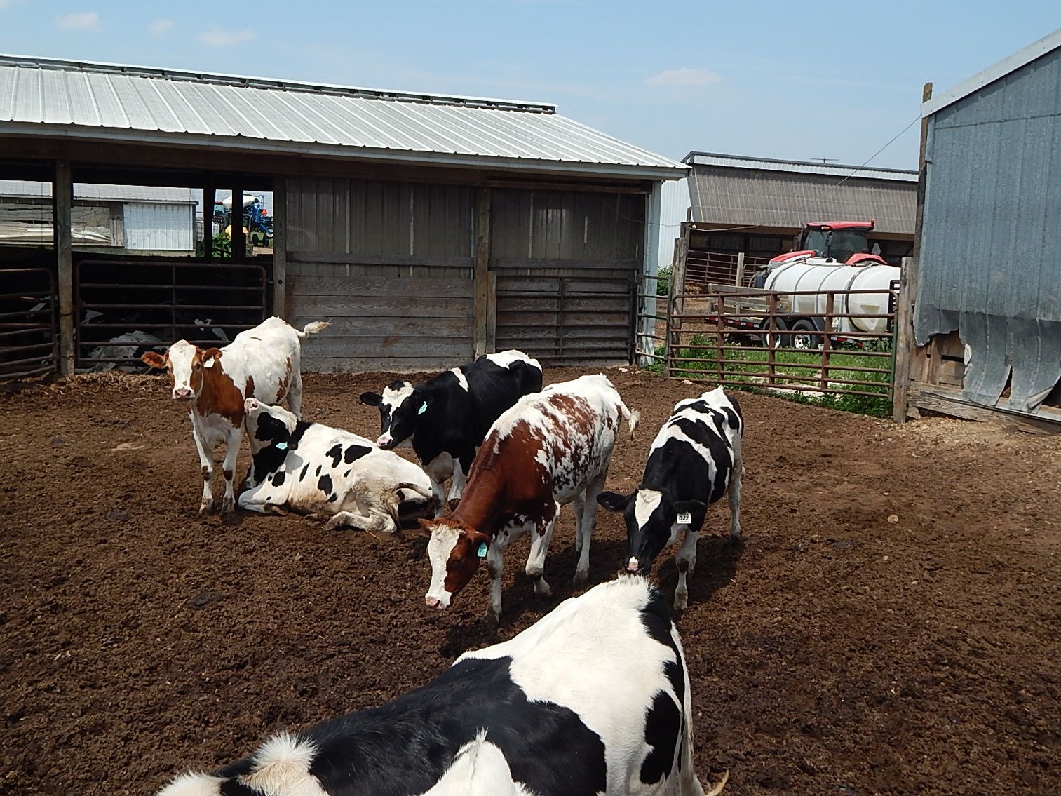 Image for DELETE:  A & D OLSON FARMS - AL & JANE OLSON