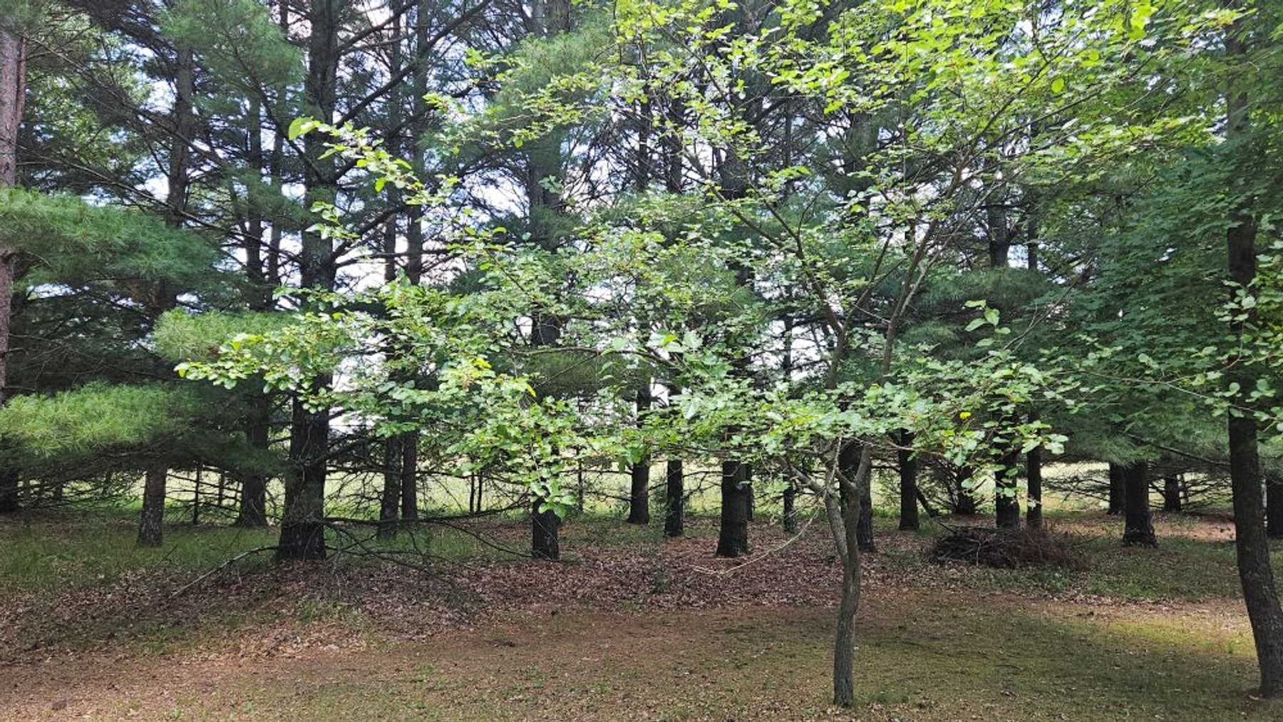 Image for W4401 County Road E, Montello