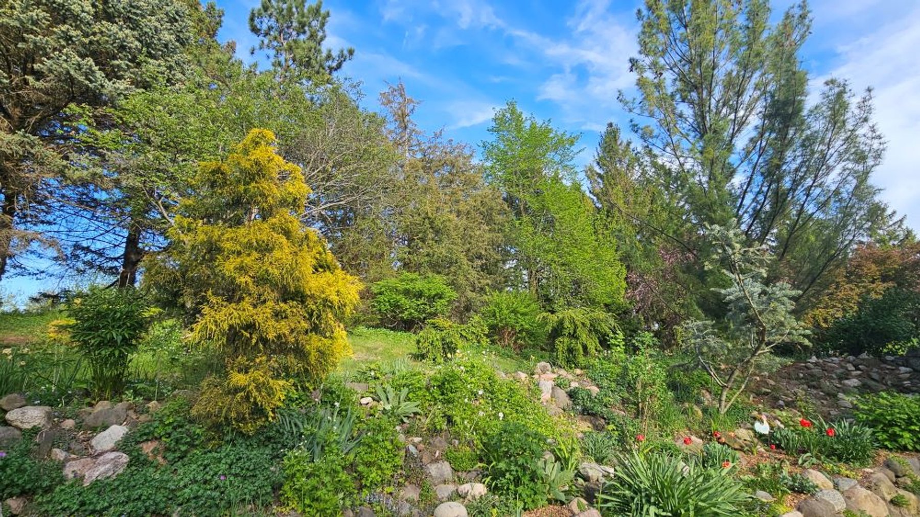 Image for N3821 County Road N - Jefferson