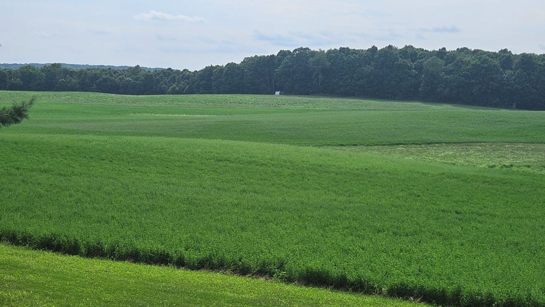 Image for 122 Acre Farm Adams Road, Town of Ashippun, Dodge County