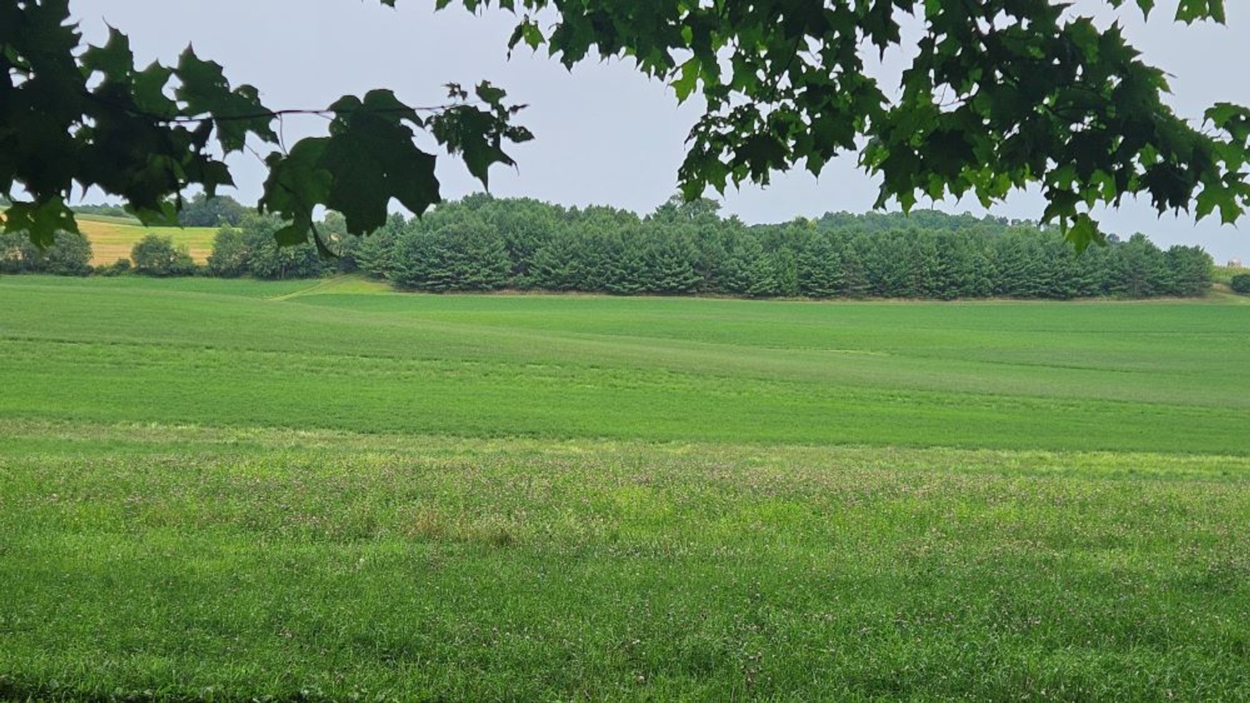 Image for 122 Acre Farm Adams Road, Town of Ashippun, Dodge County