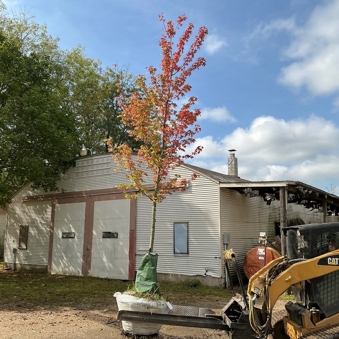 Image for CLAVEY'S NURSERY, INC.