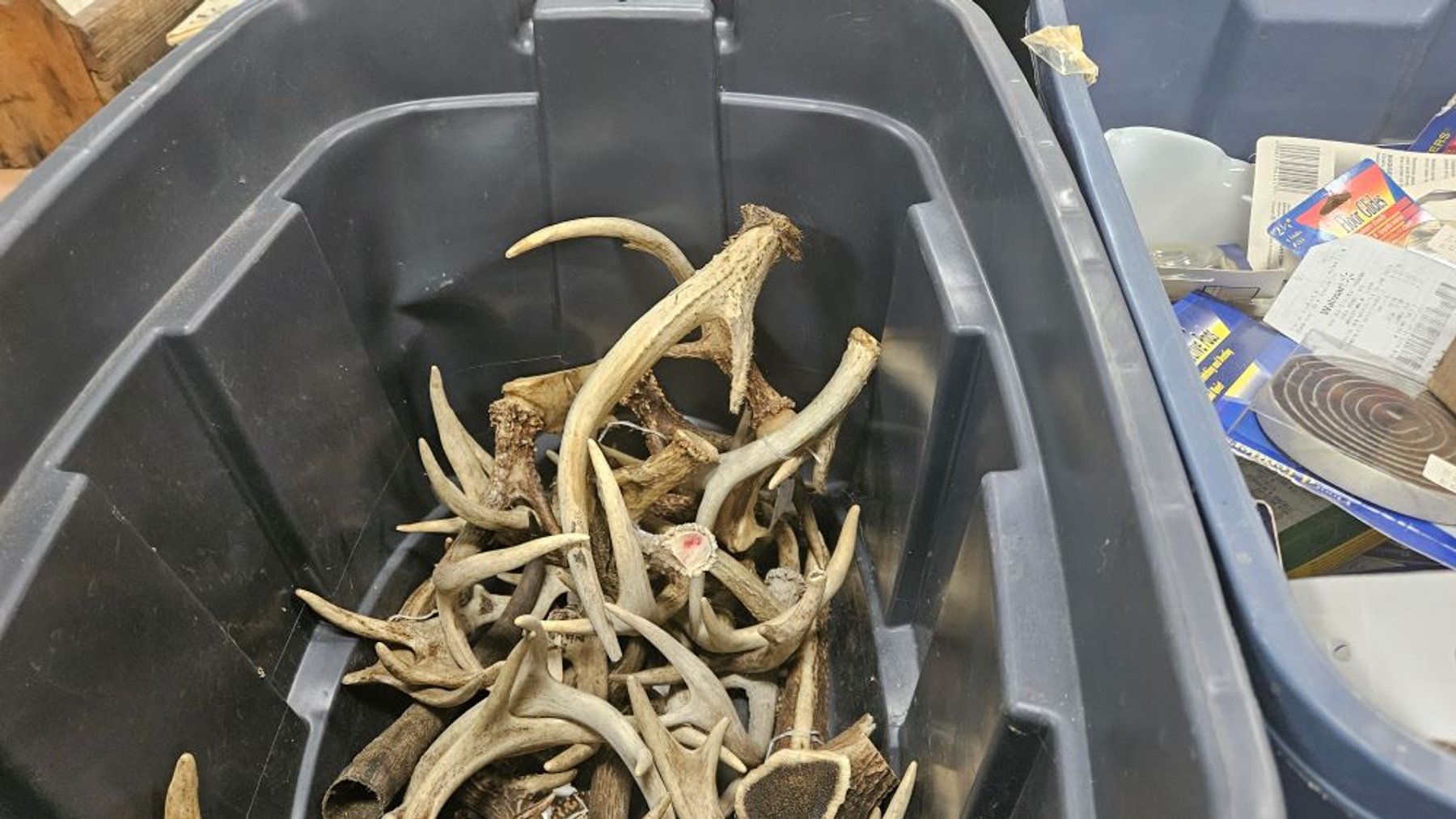 Image for STADE AUCTION CENTER