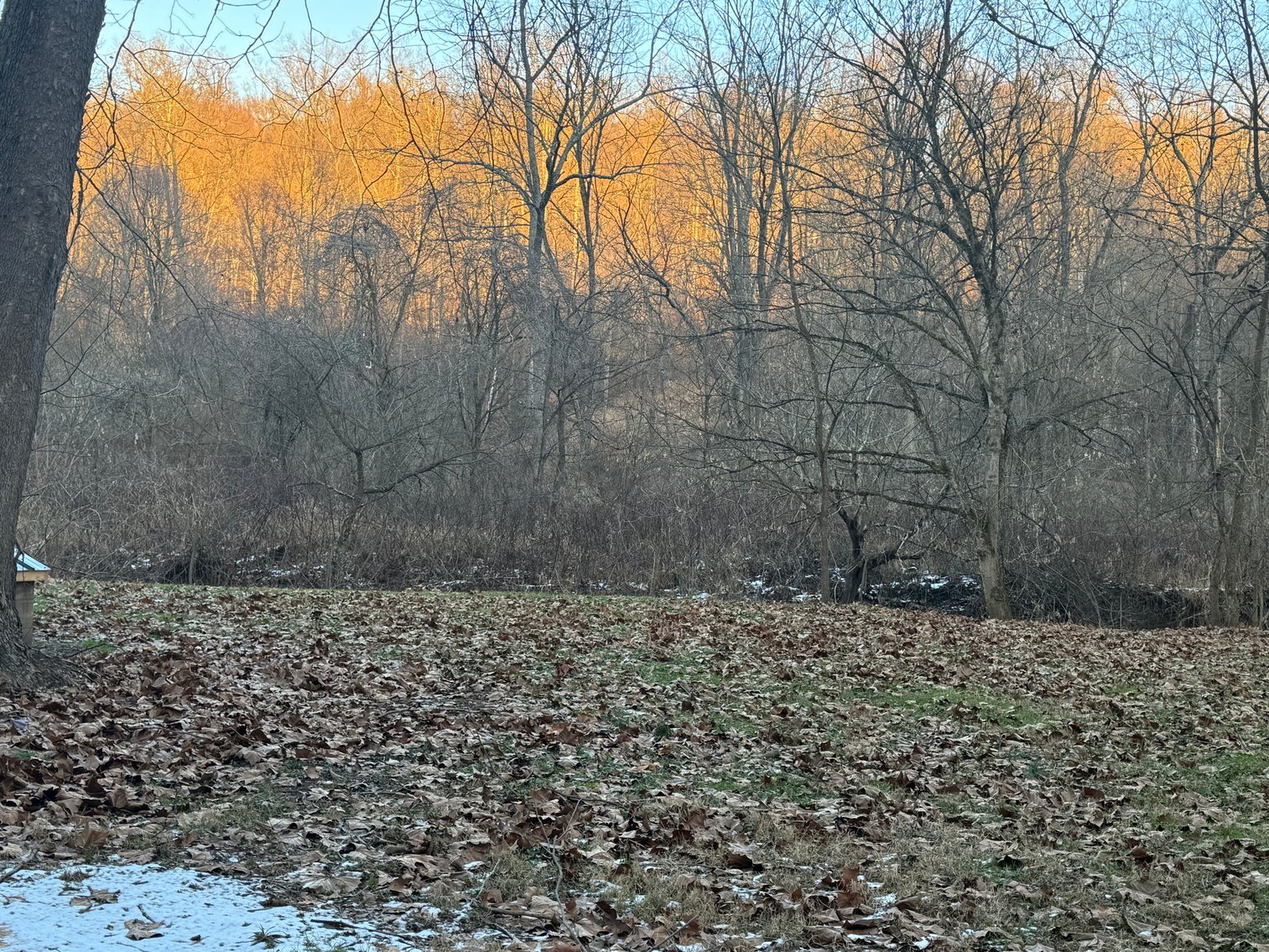 Image for Cabin on 2 acres