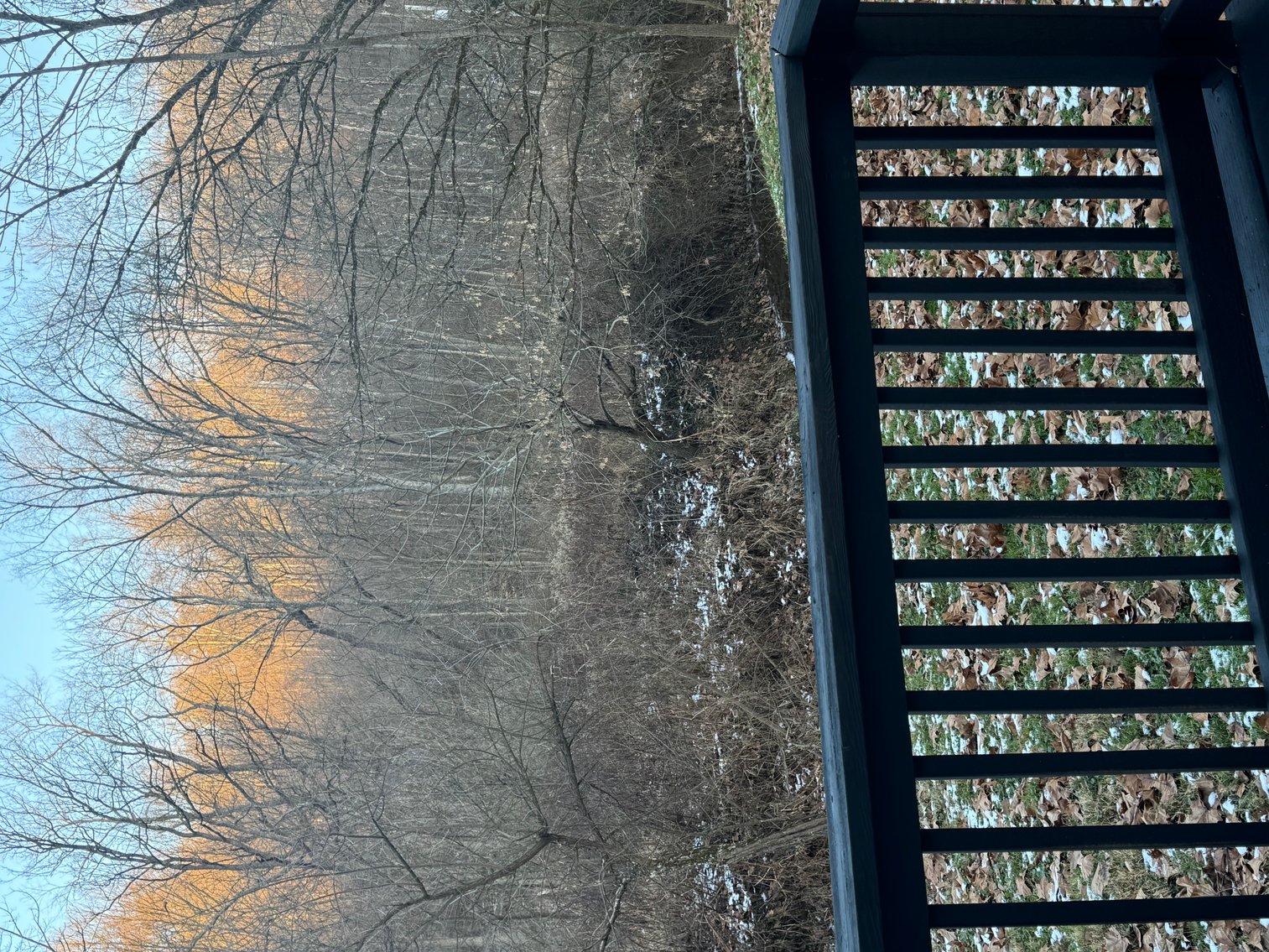 Image for Cabin on 2 acres