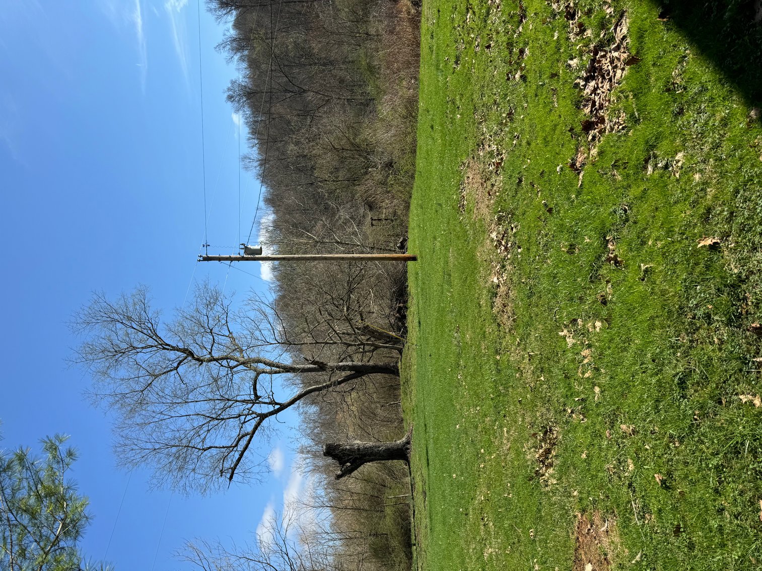 Image for Cabin on 2 acres