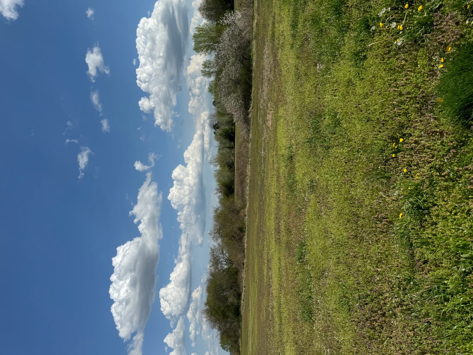 Image for 18+ Acres, Utica OH