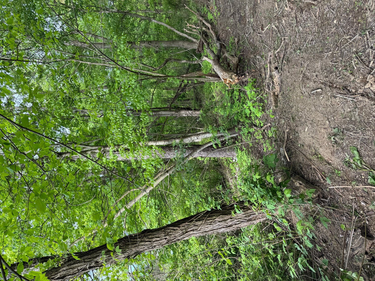 Image for Ranch Home in Kimbolton