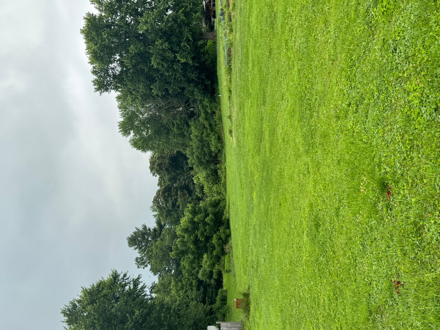 Image for 1.55 acre lot in Isleta