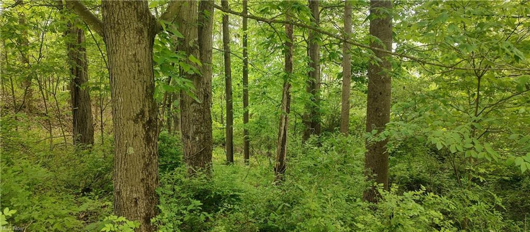 Image for 0.75 Acre Lot