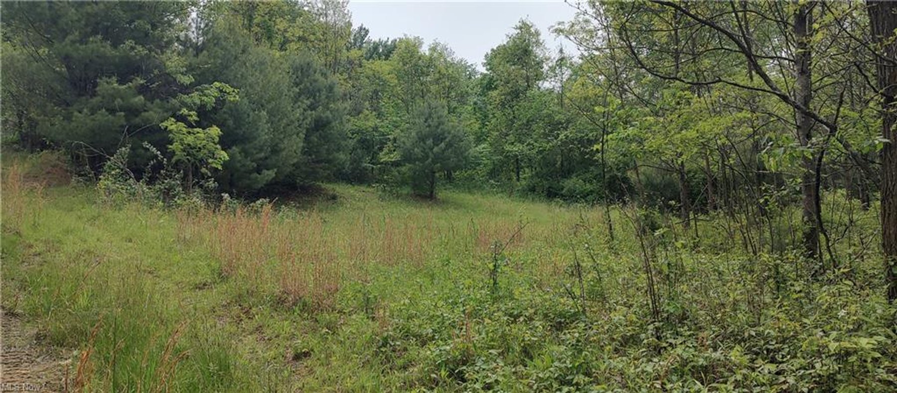 Image for 0.75 Acre Lot