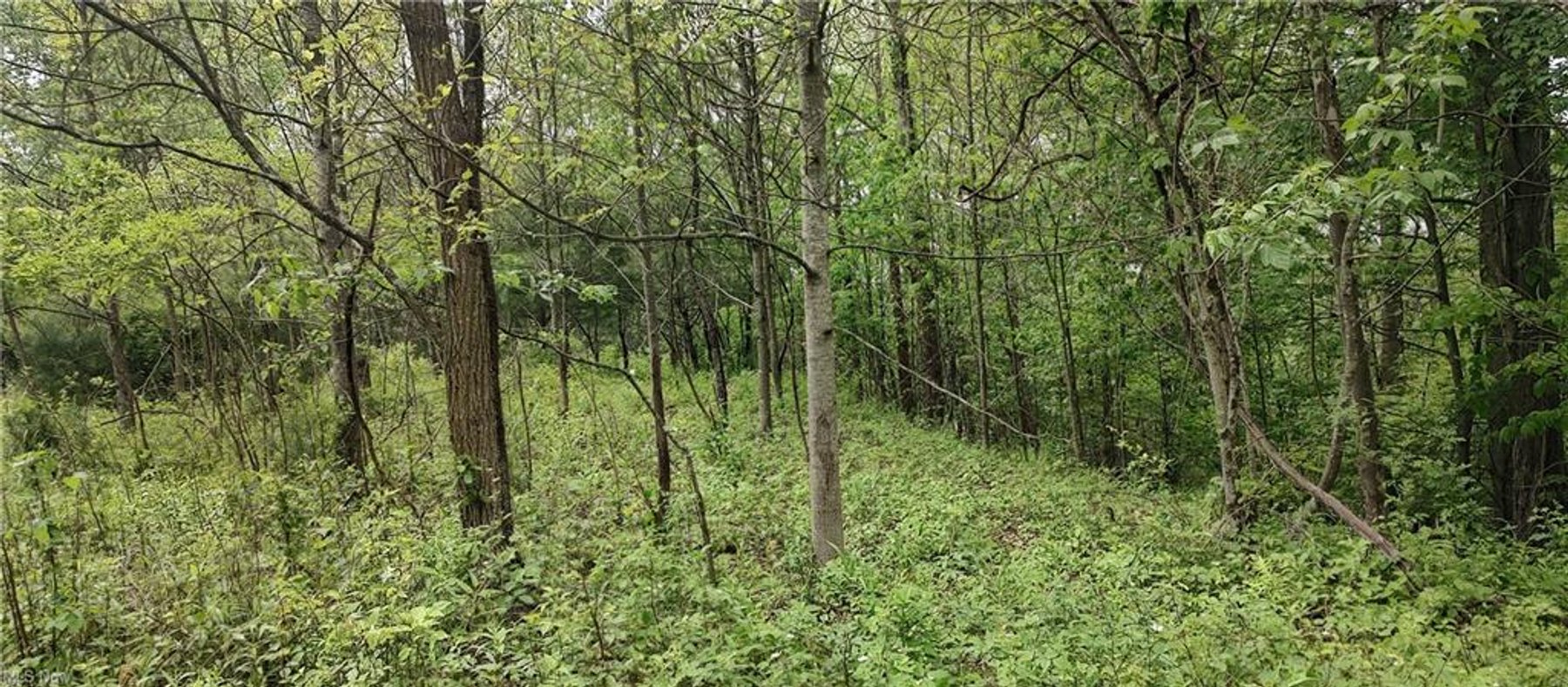 Image for 0.75 Acre Lot
