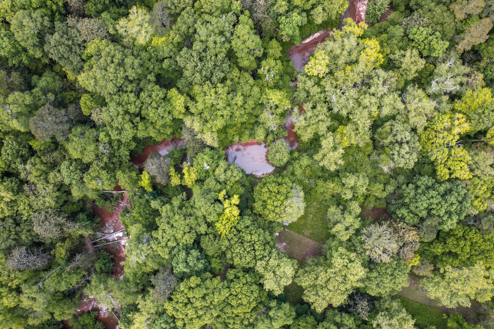 Image for Secluded, Creekside Home on the Abbie Creek!