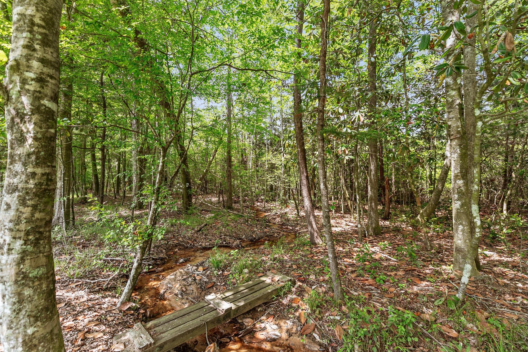 Image for Secluded, Creekside Home on the Abbie Creek!