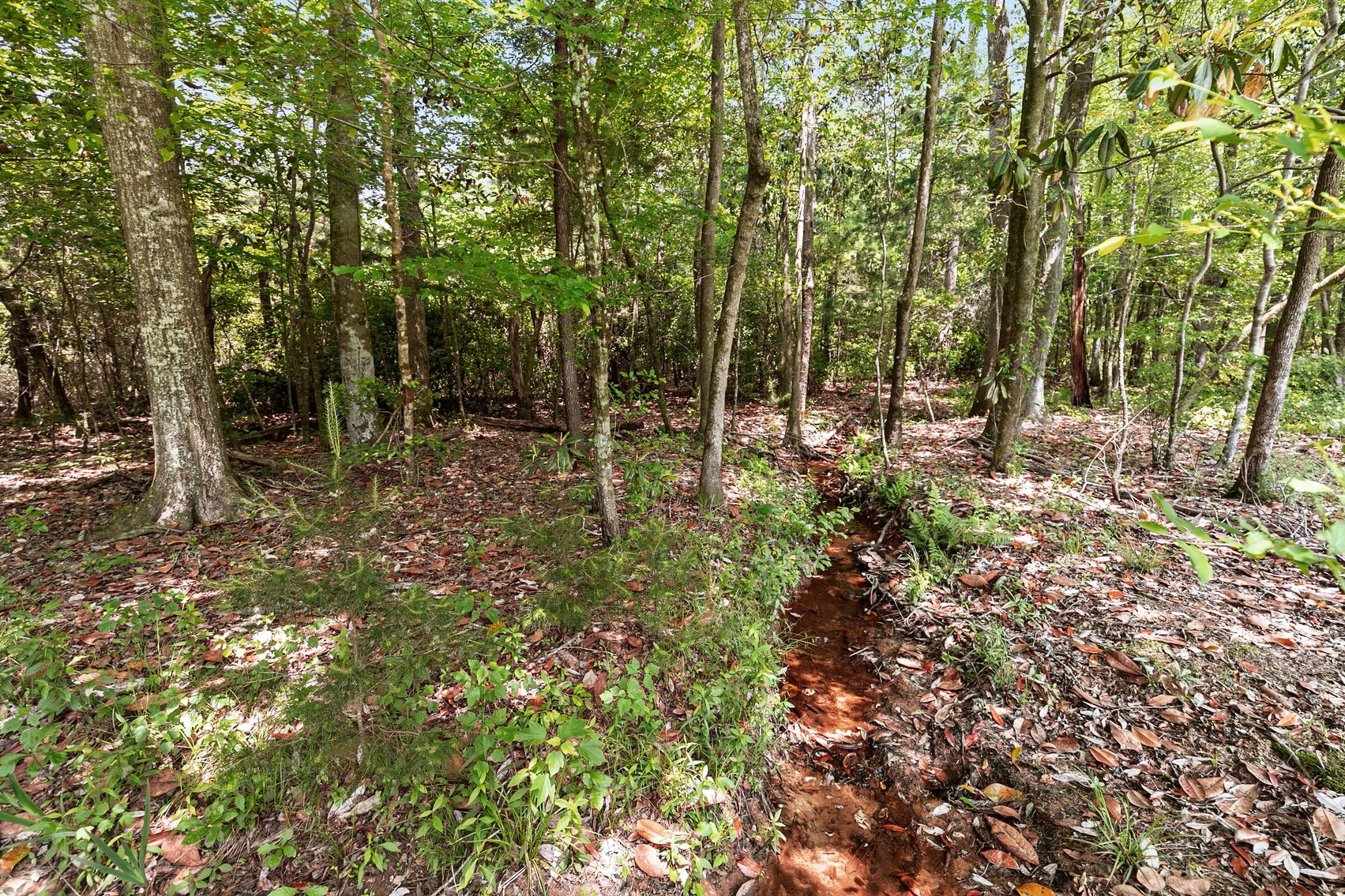 Image for Secluded, Creekside Home on the Abbie Creek!