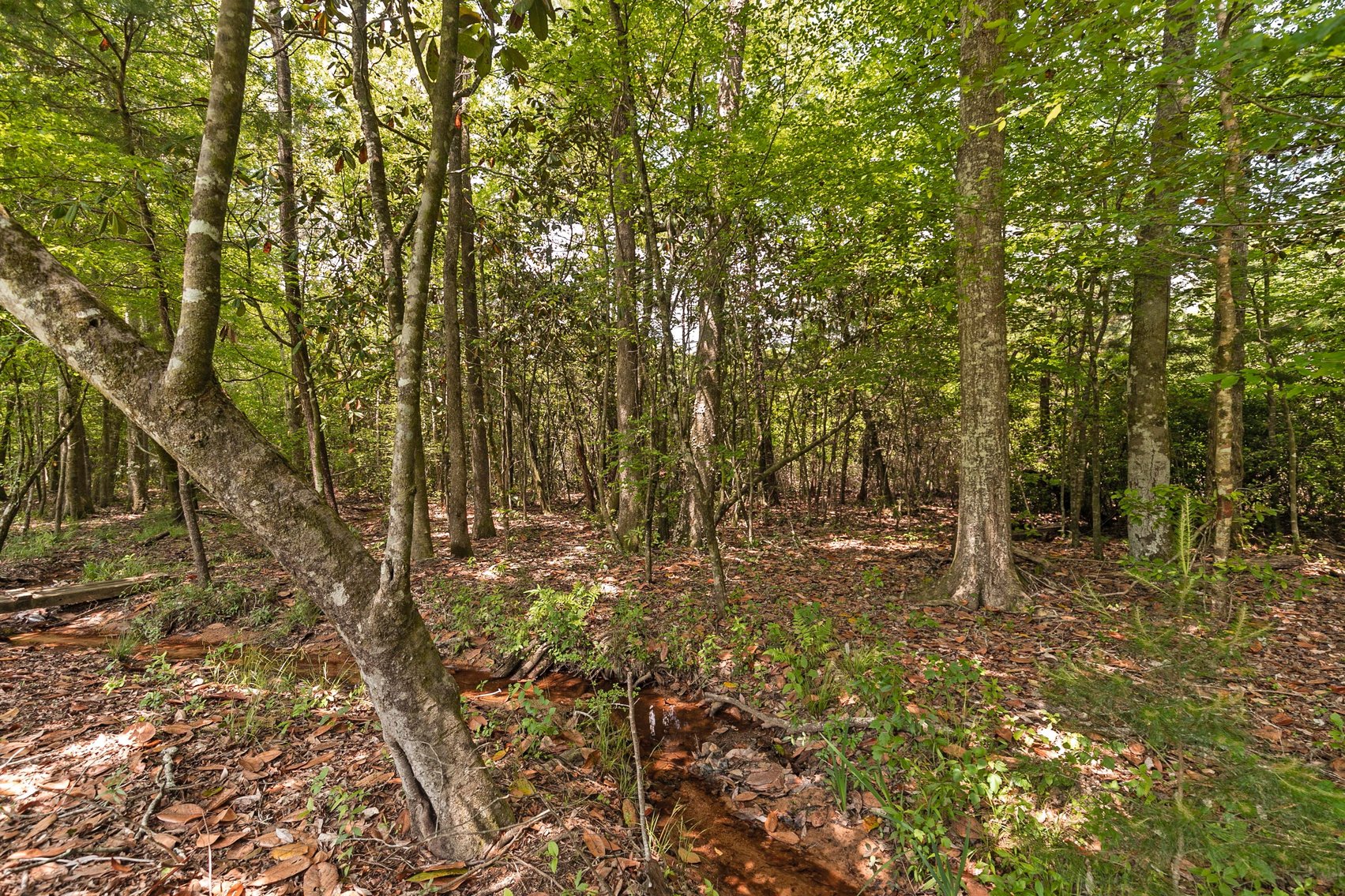 Image for Secluded, Creekside Home on the Abbie Creek!