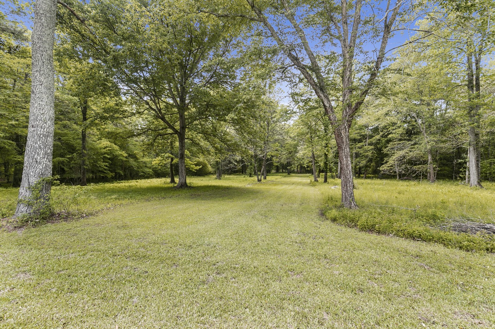 Image for Secluded, Creekside Home on the Abbie Creek!