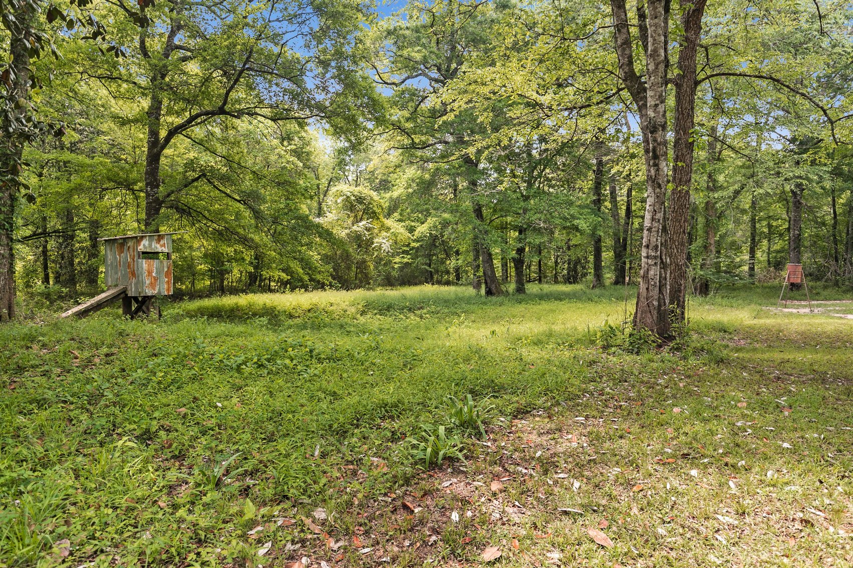 Image for Secluded, Creekside Home on the Abbie Creek!