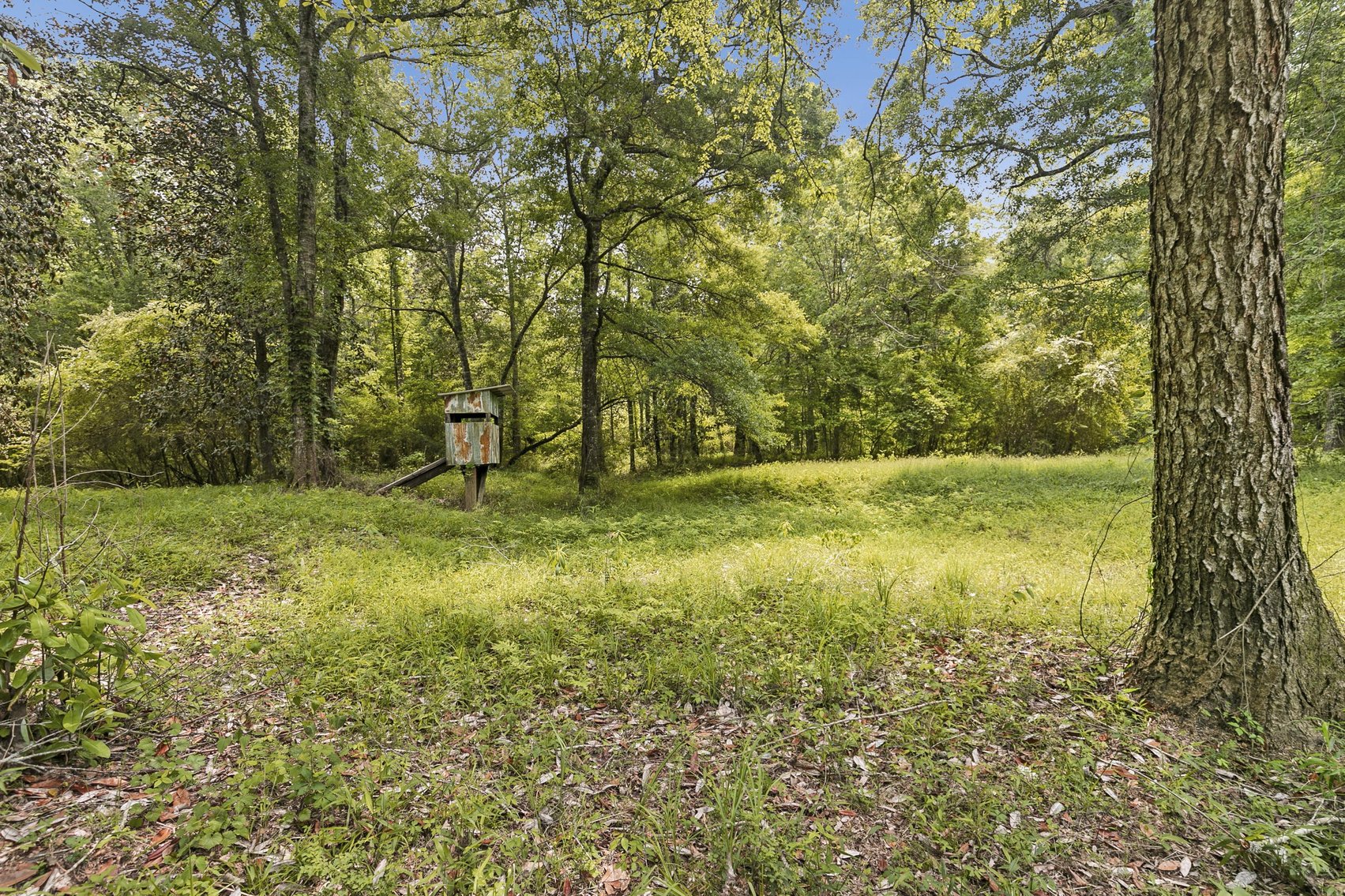 Image for Secluded, Creekside Home on the Abbie Creek!