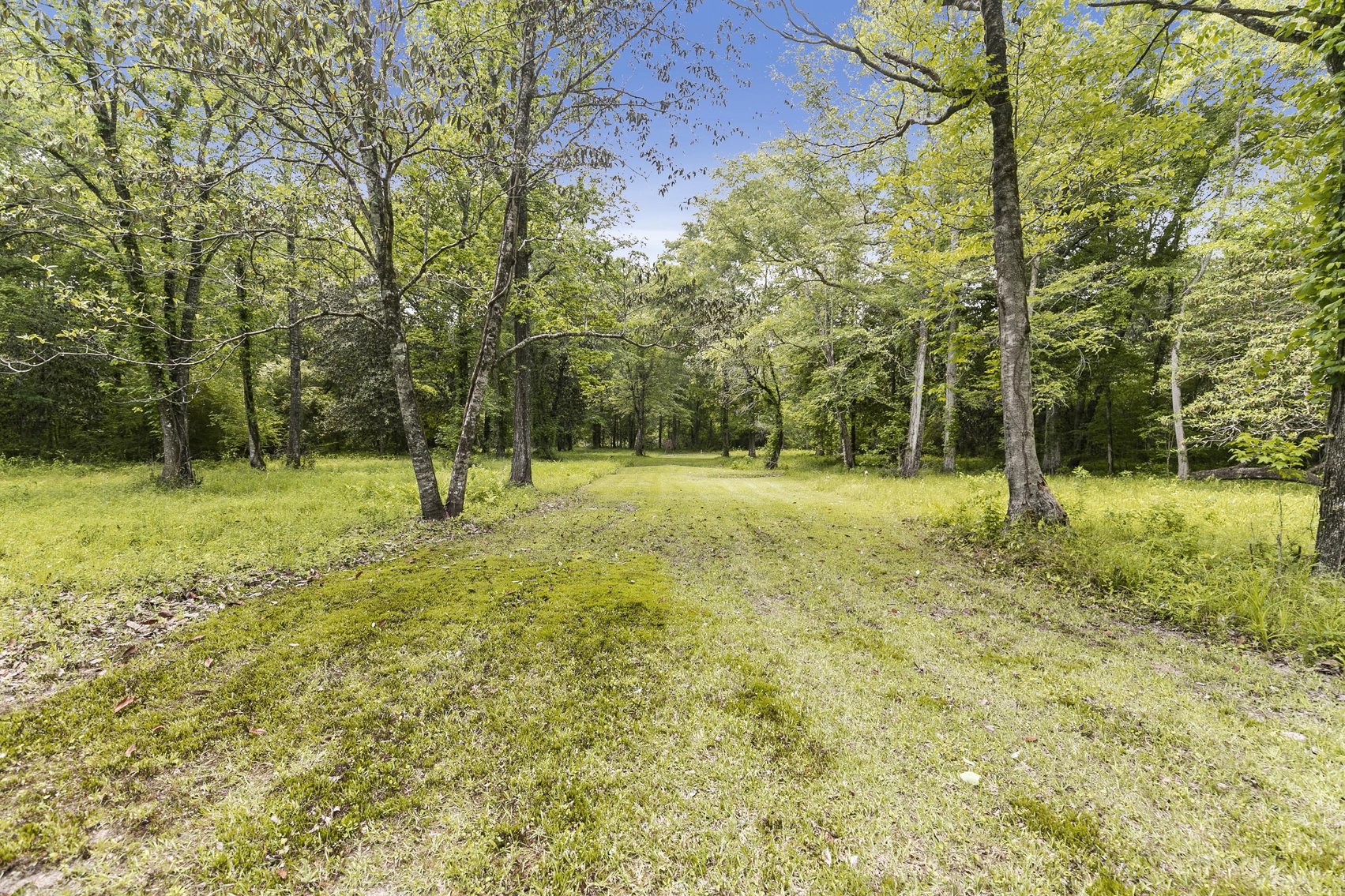 Image for Secluded, Creekside Home on the Abbie Creek!