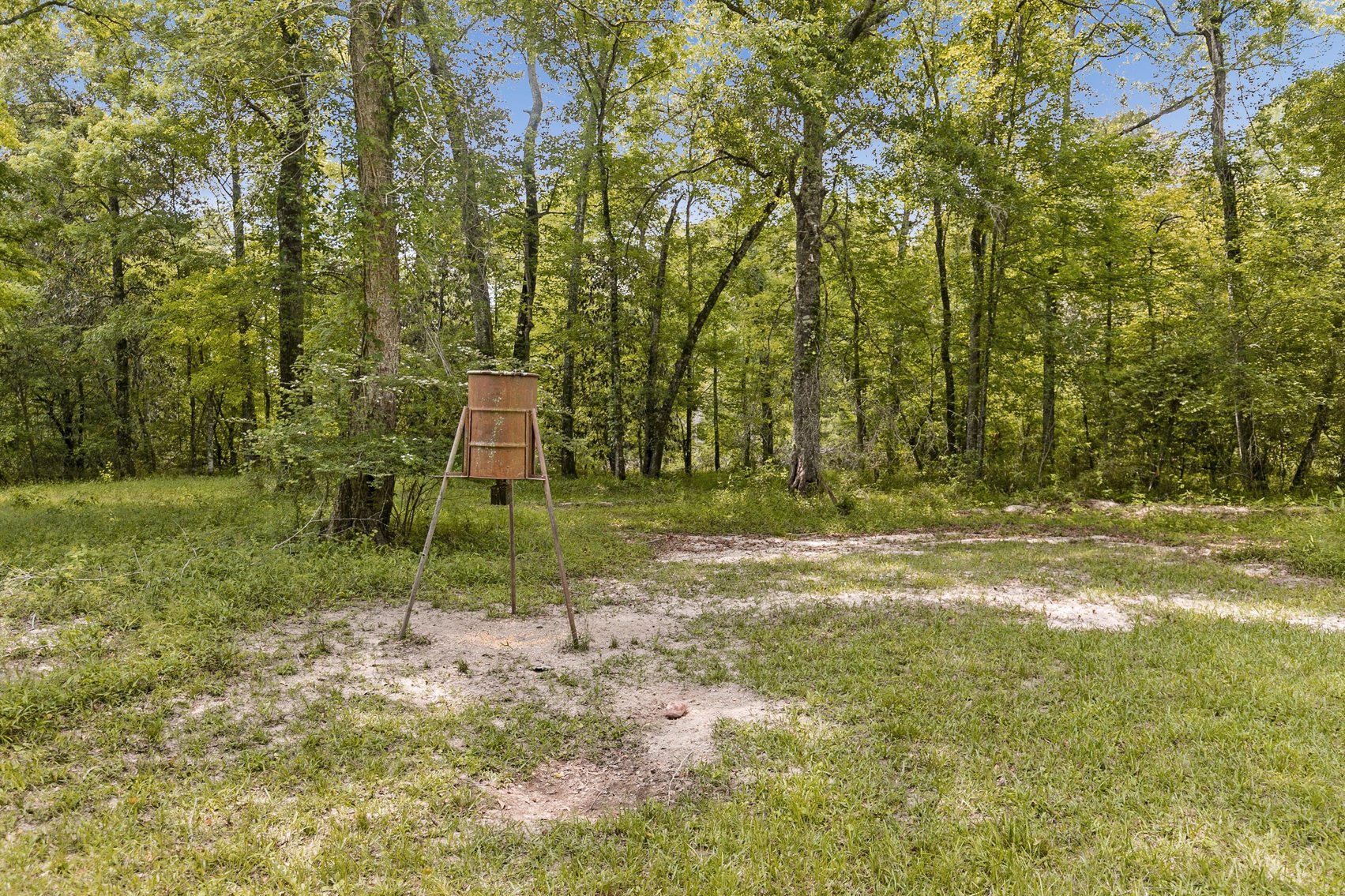 Image for Secluded, Creekside Home on the Abbie Creek!