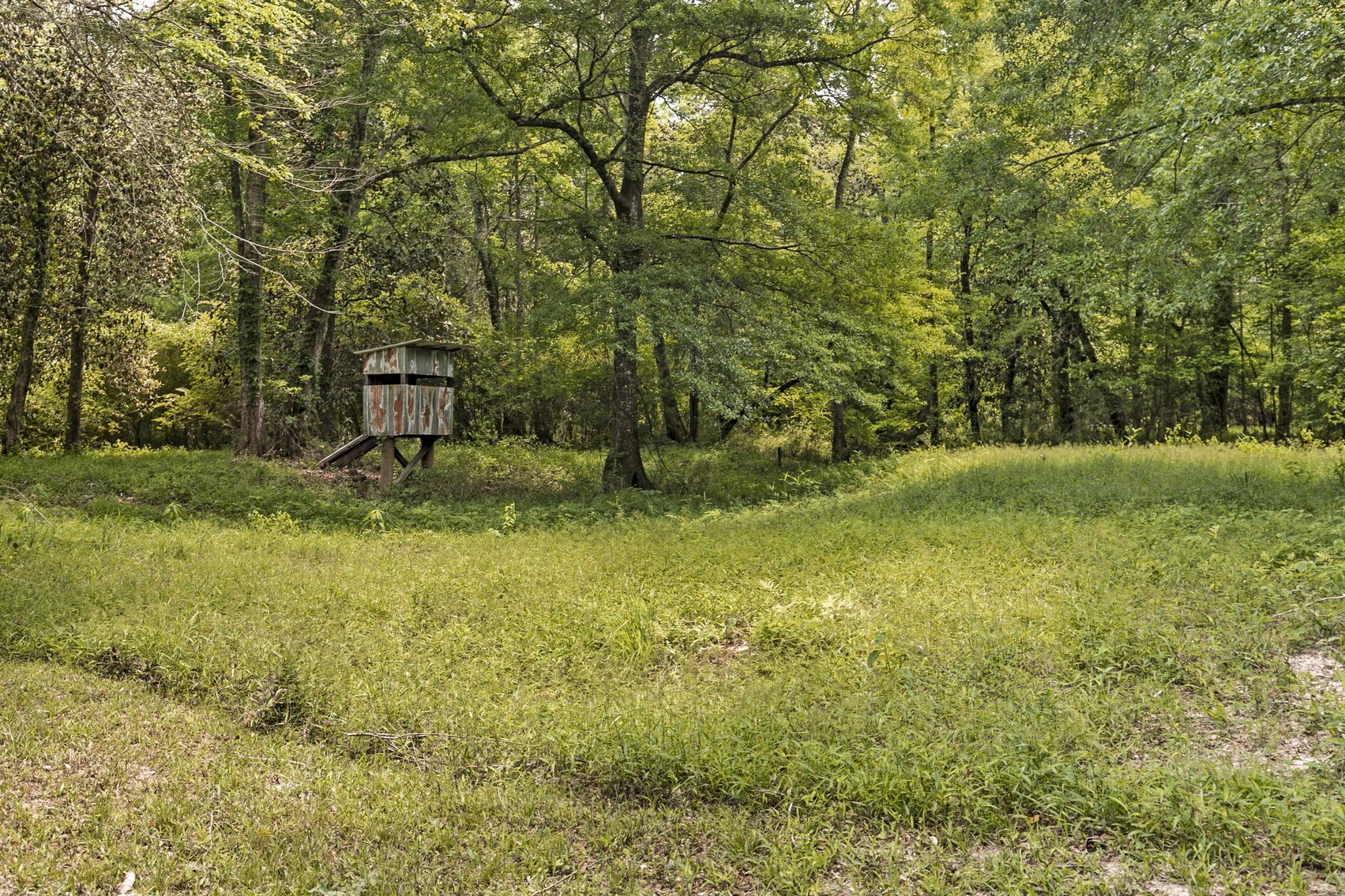Image for Secluded, Creekside Home on the Abbie Creek!