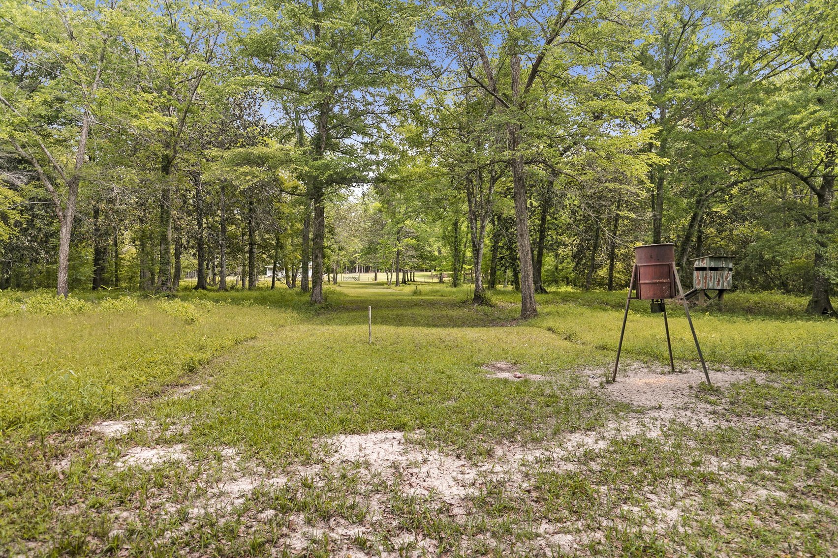 Image for Secluded, Creekside Home on the Abbie Creek!